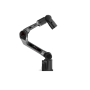piper_1